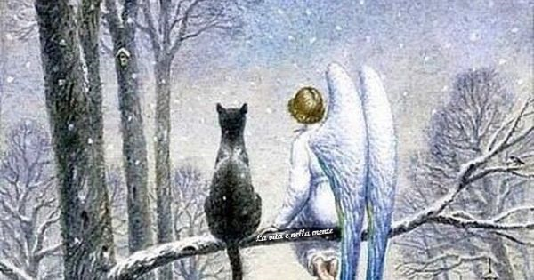 Il gatto e l’angelo… (fiaba)
