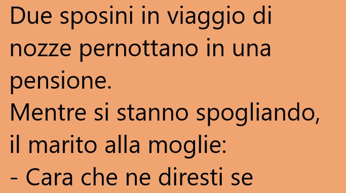 Due sposini in viaggio di nozze pernottano in una pensione… (Barzelletta)