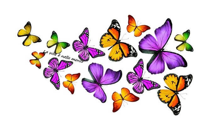 Test :” La Farfalla dei desideri”