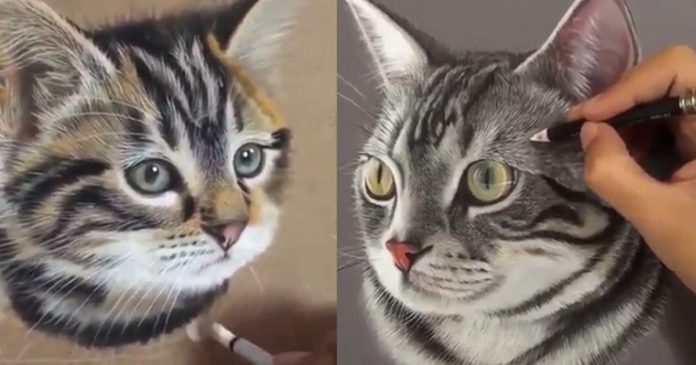 L’artista di Singapore crea splendidi dipinti iperrealistici di gatti che sembrano troppo reali per essere solo dipinti
