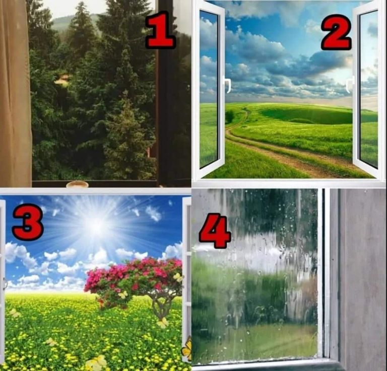 Scegli una vista dalla finestra e scopri quando i tuoi desideri diventeranno realtà.