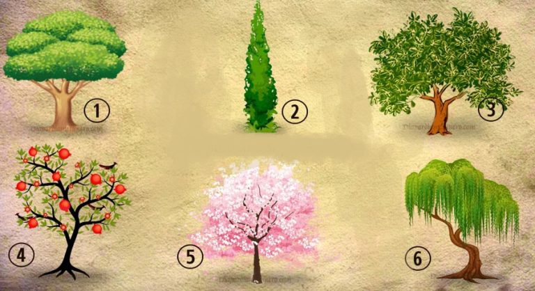 Test della personalità: quale albero pianteresti nel tuo giardino?