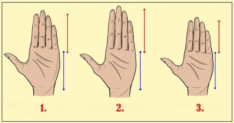 Test: la lunghezza delle dita rispetto al palmo della mano può rivelare la tua personalità
