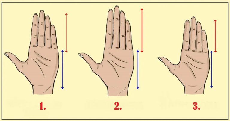 Test: la lunghezza delle dita rispetto al palmo della mano può rivelare la tua personalità